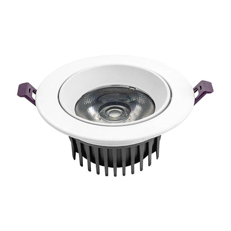  Large Lens Downlight