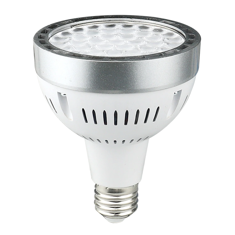 Osram Light Source Par30スポットライト